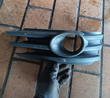 Grille trim insert bumper