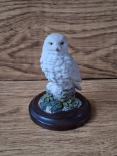 Vintage Country Artists Snowy