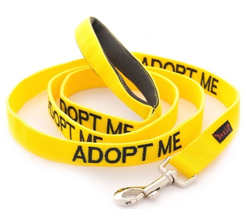 Adopt dog lead donate - lead, to