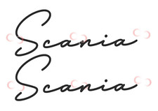 SCANIA X2 VINYL STICKERS HAULAGE CUSTOMISE GRAPHIC