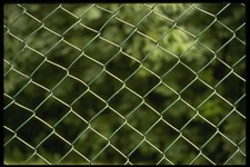 662002 Green Wire Mesh Fence A4 Photo Texture Print
