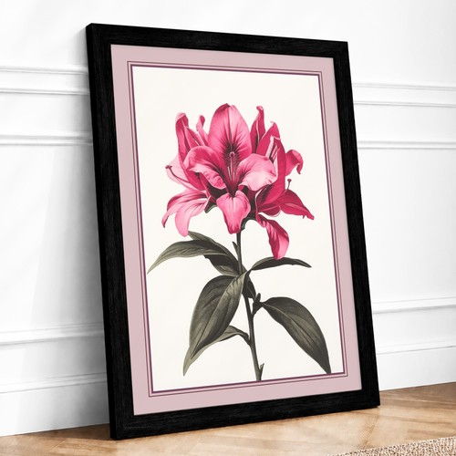 Magenta botanical study - magenta,