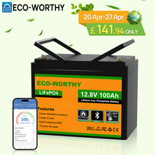 ECO-WORTHY 12V 100AH LiFePO4