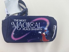 Disney World sorcerers