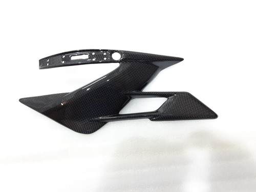 Rear swingarm cover carbon - rear,