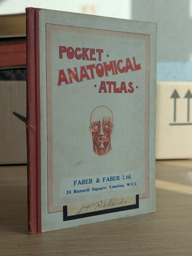 Pocket anatomical atlas 1917 - pocket,