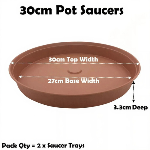 30cm plant pot - plant, saucer