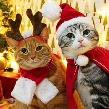 Cat Dog Kitten Puppy Christmas