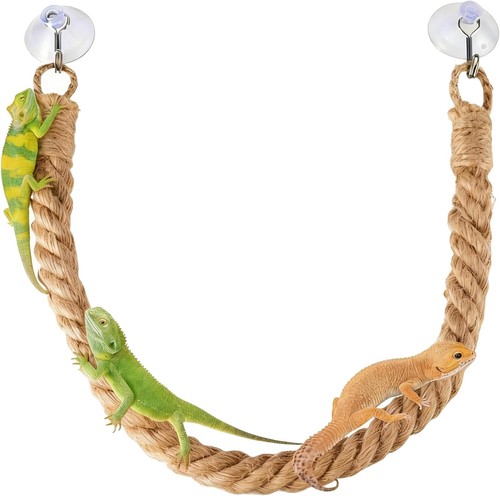 Reptile tank accessories - reptile,