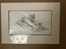 David Shepherd Limited Edition