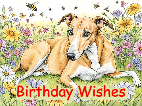 Greyhound whippet birthday - whippet,