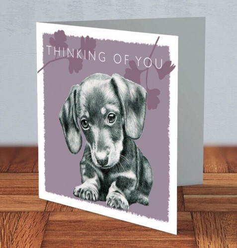 Dachshund sausage dog puppy