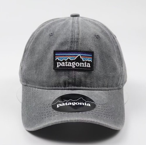 2026 patagonia logo cap - patagonia, p-6