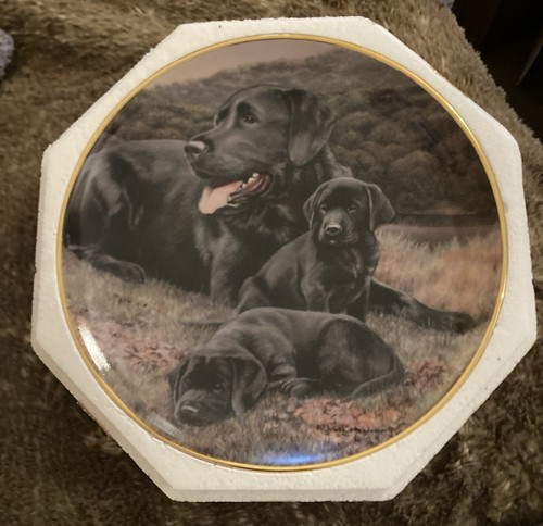 Father pride and - pride, vintage