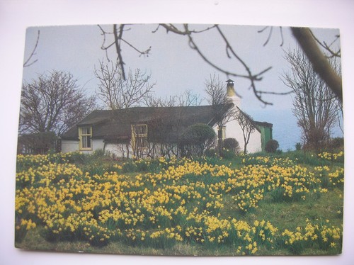Arran postcard whiting - postcard, bay