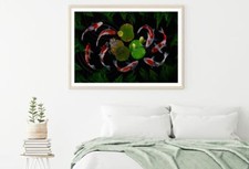 Koi Fish in Pond Digital Art