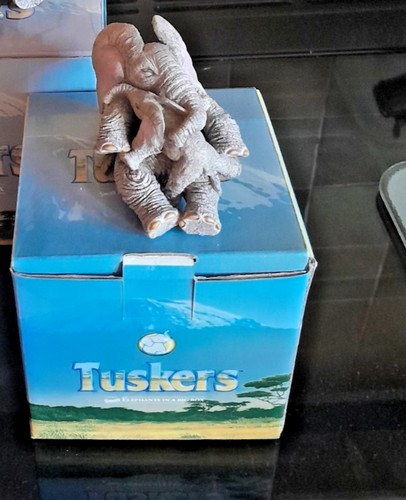 Tusker elephants - tusker,