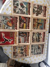 The Hornet Comics Issues