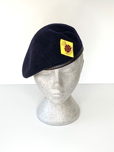 Queen lancashire regiment - queen's,
