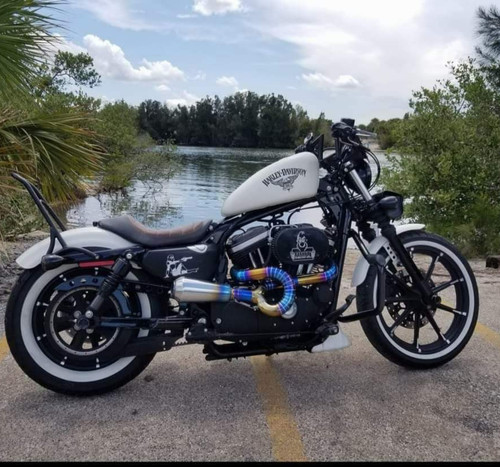 Sportster 1986 2020 gnarly - 1986–2020,