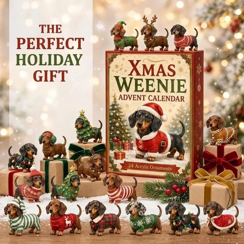 Dachshund dog christmas - christmas, advent