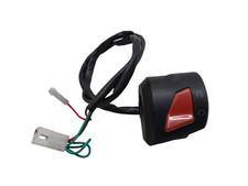 Genuine Aprilia RS 125 2017