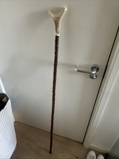 Staghorn Thumb Stick Aprox 50