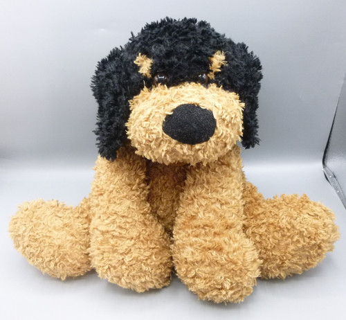 Cuddles time max - max, cockerpoo