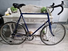 raleigh reynolds 501