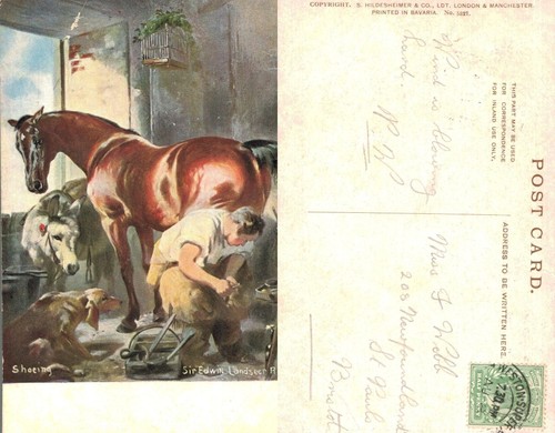 Vintage postcard sir edwin - postcard,