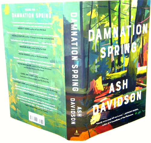 Damnation spring ash - damnation,