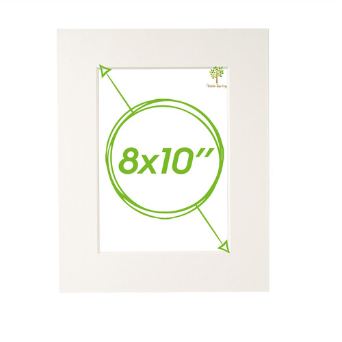Picture mount for - mount, x
