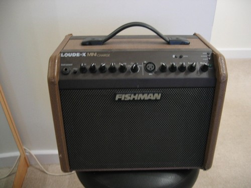 Fishman loudbox mini - fishman,