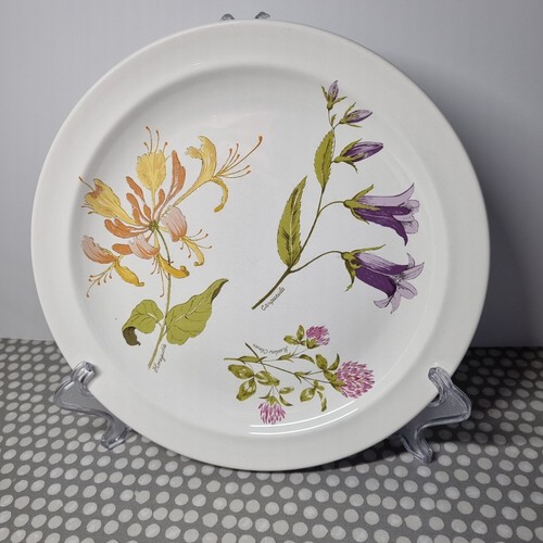 Royal worcester palissy - worcester,