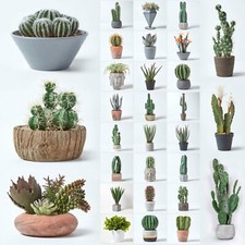 Artificial Succulent Plant