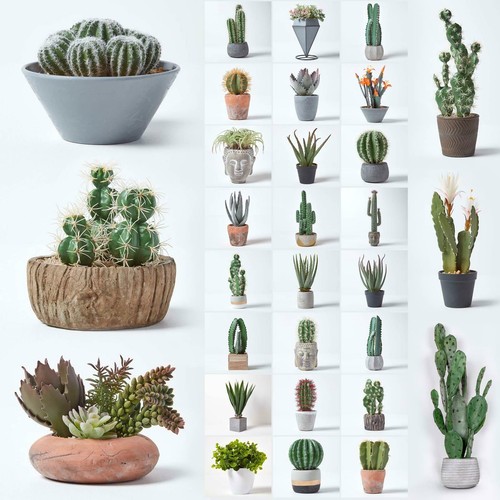 Artificial succulent plant - artificial,