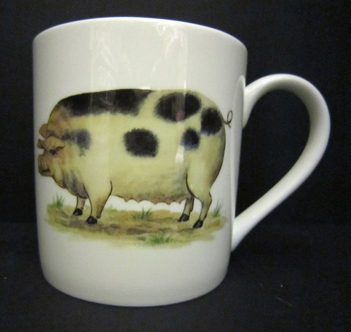 Extra large pig - pig, fine
