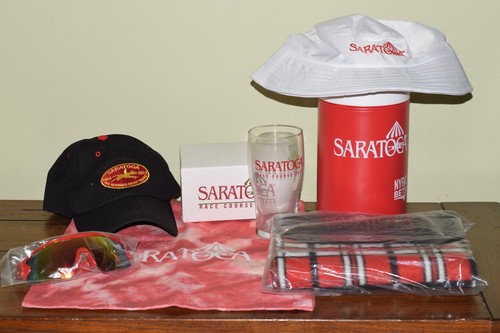 Lot saratoga horse - saratoga,