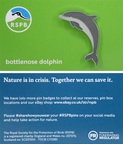 Rspb pin badge - rspb, niic