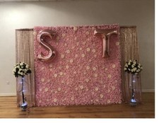 Pair Light Up Bay Trees Party Hire Wedding Garden FOR SALE