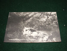 VINTAGE POSTCARD DEVON & SOMERSET STAGHOUNDS EXMOOR STAG HUNTING BY VOWLES
