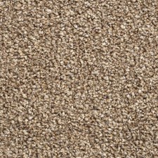 Brooklyn Elite Domestic