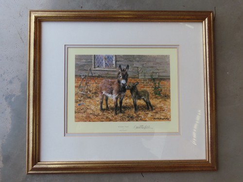 Donkey talk david shepherd - donkey,