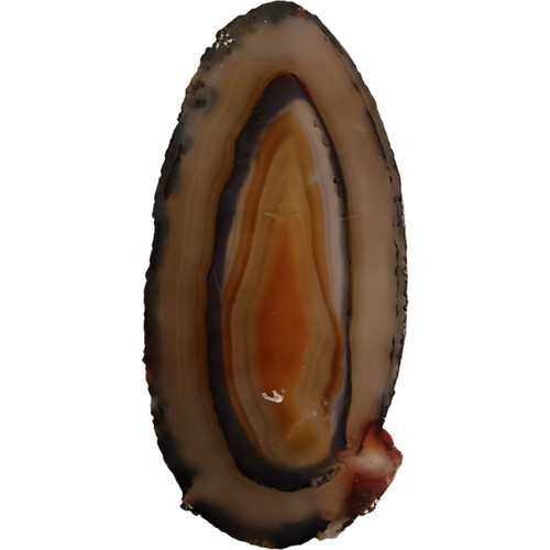 Polished agate slice natural - agate,