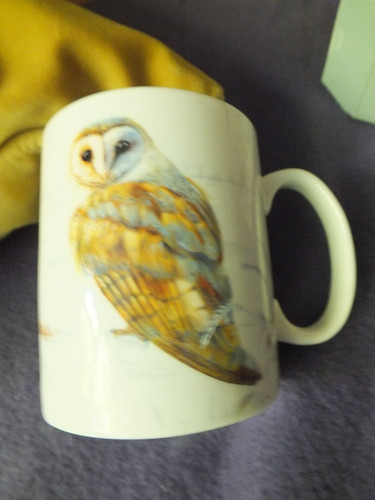 Barn owl coffee - owl, in