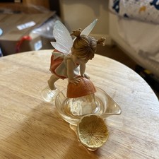 My Little Kitchen Fairies