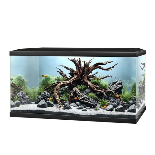 Ciano aquarium led 52l - ciano,