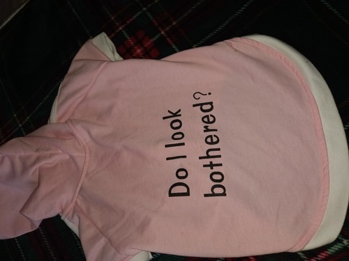 Pink puppy sweatshirt fits - pink,