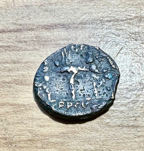 Septimius severus 3 mm - severus?, 18.3