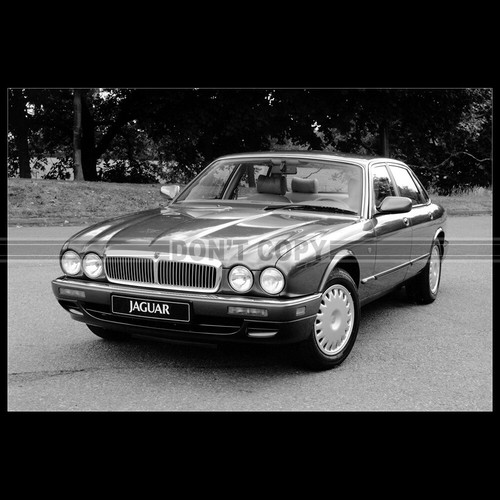 Photo 010969 jaguar - photo,